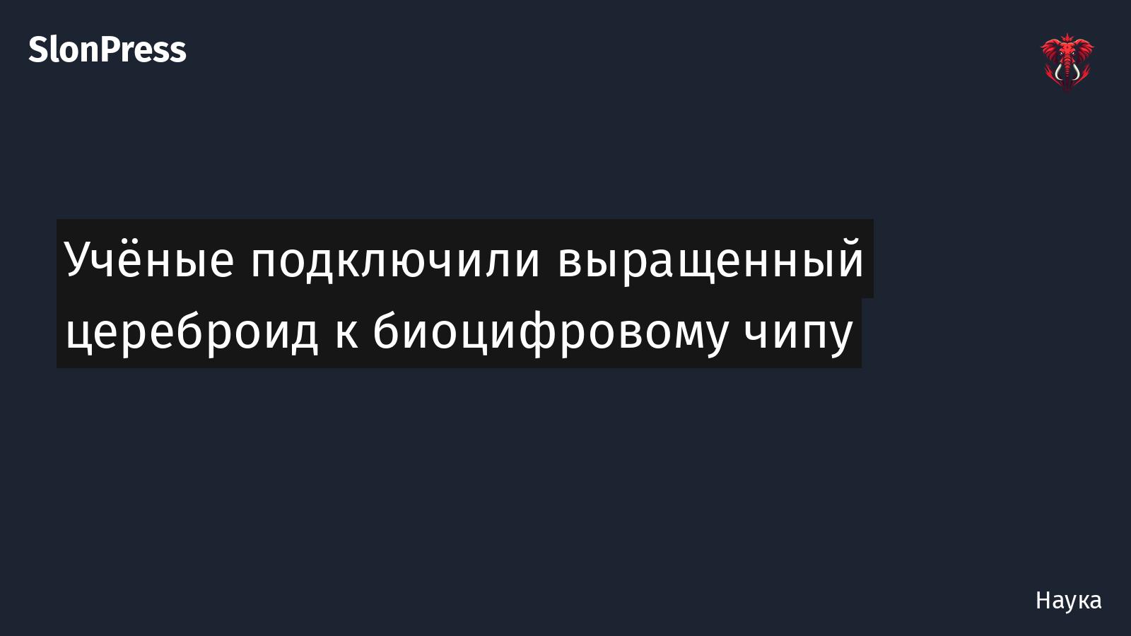 Учёные подключили выращенный цереброид к биоцифровому чипу