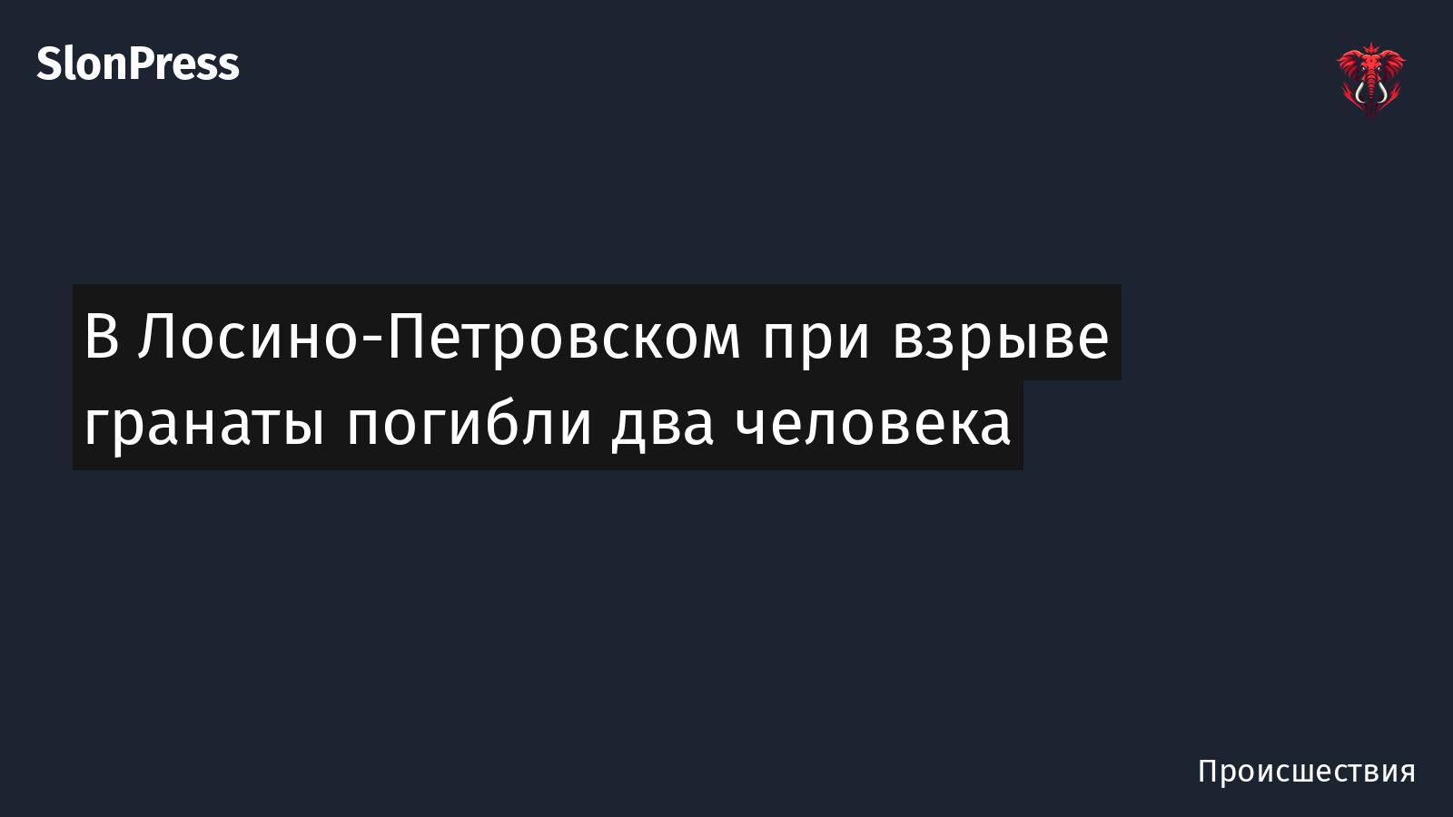 В Лосино-Петровском при взрыве гранаты погибли два человека