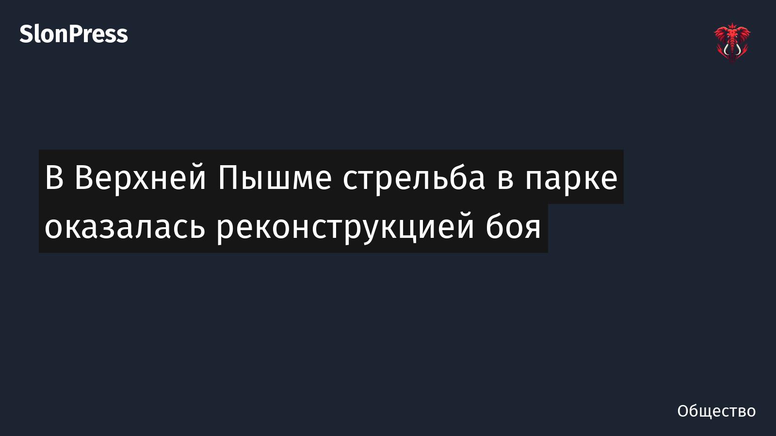 В Верхней Пышме стрельба в парке оказалась реконструкцией боя