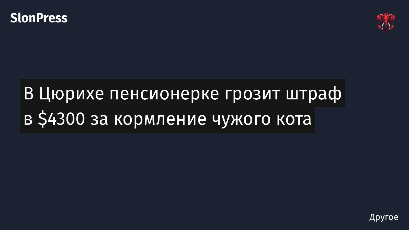 В Цюрихе пенсионерке грозит штраф в $4300 за кормление чужого кота