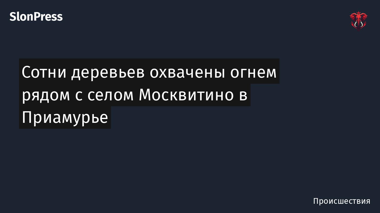 Сотни деревьев охвачены огнем рядом с селом Москвитино в Приамурье