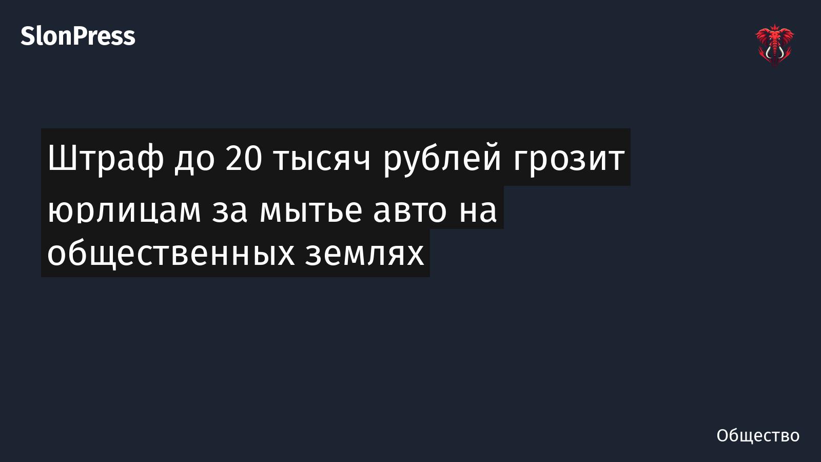 Штраф до 20 тысяч рублей грозит юрлицам за мытье авто на общественных землях