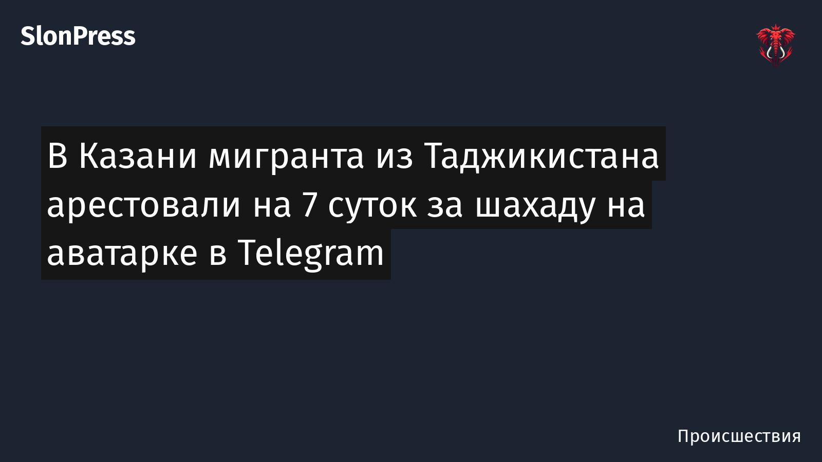 В Казани мигранта из Таджикистана арестовали на 7 суток за шахаду на аватарке в Telegram