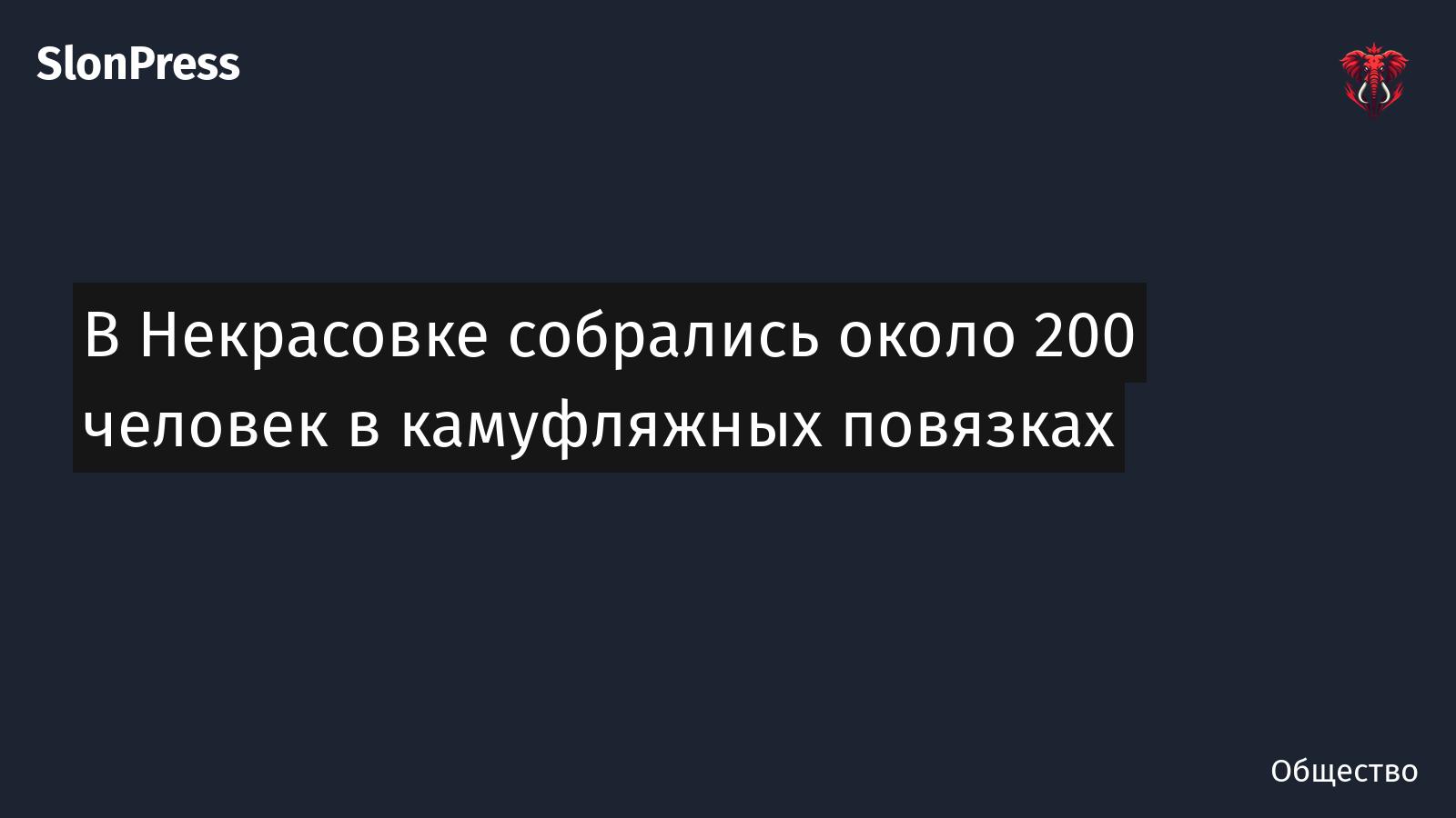 В Некрасовке собрались около 200 человек в камуфляжных повязках